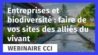 Miniature : Entreprises et biodiversité : faire de vos sites des alliés du vivant