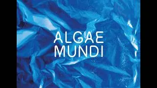 Miniature : Algae Mundi