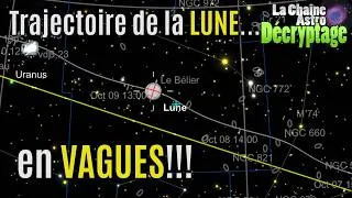 Miniature : Pourquoi ces "oscillations"?