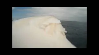 Miniature : Vidéo embarquée sur le dos des fous de Bassan