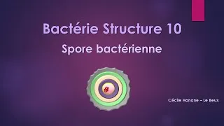 Miniature : Bactérie Structure 10 SPORE BACTERIENNE sans musique de fond.