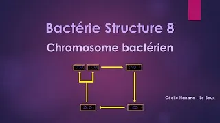 Miniature : Bactérie Structure 8 MATERIEL GENETIQUE / CHROMOSOME BACTERIEN sans musique de fond