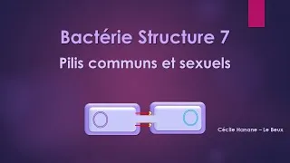 Miniature : Bactérie Structure 7 PILS (FIMBRIAE) sans musique de fond