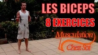 Miniature : 8 exercices biceps avec haltères et barre