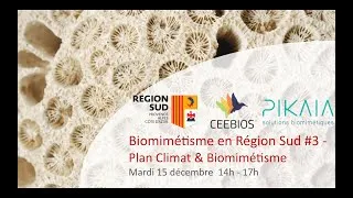 Miniature : Webinaire Région Sud - Plan Climat & Biomimétisme
