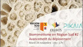 Miniature : Webinaire Région Sud - Avancée du déploiement en Région