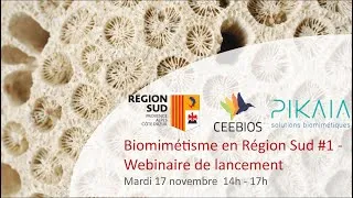 Miniature : Webinaire Ceebios - Lancement de la dynamique en Région Sud