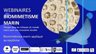 Miniature : 1712020 Biomimétisme marin - Biomimétisme marin et nautisme