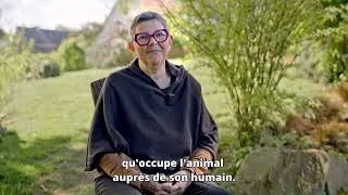 Miniature : Interview Sophie Trihan -Dirigeante du CEEPHAO
