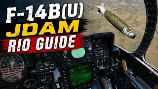 Miniature : F-14B(U) : JDAM / RIO - Tutoriel complet