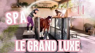 Miniature : BALNEOTHERAPIE 🤩 LE GOF 2026 DE MON PONEY 🤣