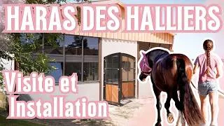 Miniature : ON S'INSTALLE AU HARAS DES HALLIERS 🤩 POUR UN SÉJOUR BALNÉOTHÉRAPIE 🫧🐴