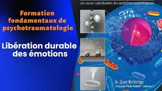 Miniature : Libérer durablement les émotions: fondamentaux psychotraumatologie.#formation #traumatisme #therapie