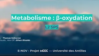 Miniature : L2 SPS - Métabolisme #1 - la Beta-Oxydation (Exercice) #metabolism #biologie