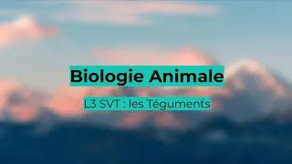 Miniature : L3 SVT - Biologie Animale #1 - les Téguments #biologie #svt #animaux