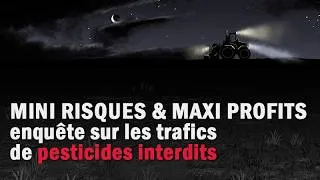 Miniature : Mini risques & maxi profits : enquête sur les trafics de pesticides interdits