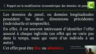 Miniature : INRODUCTION A L'ECONOMETRIE DES DONNEES DE PANEL