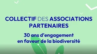 Miniature : 20ème Collectif des Associations Partenaires