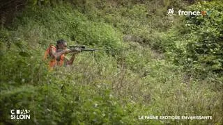Miniature : La Faune exotique envahissante (France5 - C PAS SI LOIN du 03 février 2026)