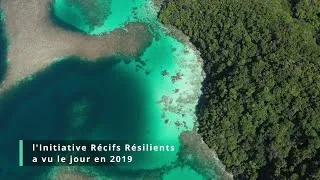 Miniature : L'Initiative Récifs Résilients - En bref