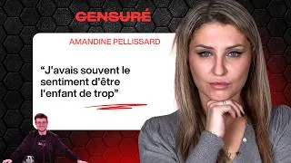 Miniature : « Nous regrettons d'avoir monétisé notre vie intime » : Amandine et Alexandre Pellissard disent tout