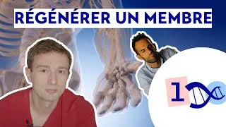 Miniature : E7 - Peut-on devenir invincible (ft. Science étonnante)