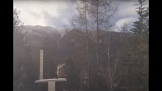 Miniature : Timelapse de l'enneigement 2023-2024