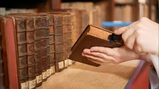 Miniature : The Old Library's preservation campaign 2023