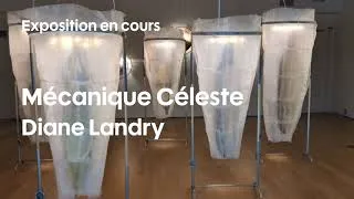 Miniature : Mécanique Céleste