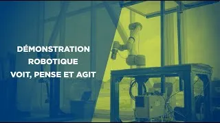 Miniature : CRVI - DEMO Voit-pense-agit