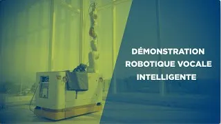 Miniature : CRVI - DEMO Robotique Vocale intelligente