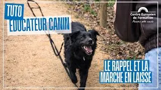 Miniature : Tutoriel "rappel et marche en laisse" avec Charlotte, élève en formation d'éducateur canin au #CEF !