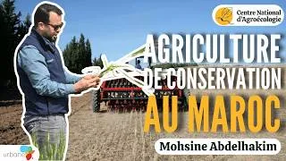 Miniature : AGRICULTURE DE CONSERVATION AU MAROC : Bilan et perspectives