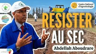 Miniature : RÉSISTER À LA SÉCHERESSE AVEC LE SEMIS DIRECT AU MAROC, Abdellah Aboudrare
