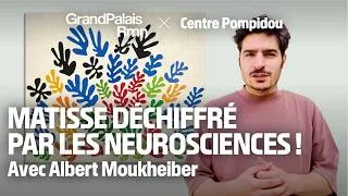 Miniature : Visitez l'exposition « Matisse. 1941 -1954 » avec Albert Moukheiber | Centre Pompidou X Grand Palais