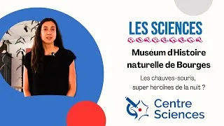 Miniature : Muséum d'Histoire naturelle de Bourges - LSA-S6-E07