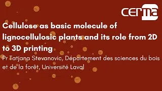 Miniature : La cellulose comme base des plantes lignocellulosiques et son rôle dans l'impression 2D et 3D