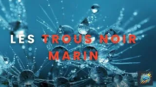 Miniature : Les Trous Noirs de l’Océan : Le Secret effrayant des Abysses 🌊⚫