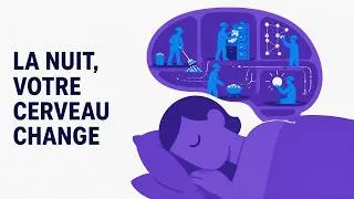 Miniature : La nuit, votre cerveau change: le 'Filtre de Minuit' révélé
