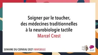 Miniature : Soigner par le toucher, des médecines traditionnelles à la neurobiologie tactile