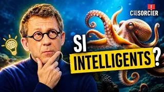 Miniature : Pourquoi les poulpes sont si intelligents ? - C'est pas sorcier
