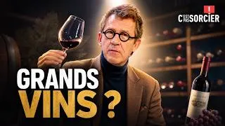 Miniature : Comment reconnaît-on les grands vins ? - C'est pas sorcier