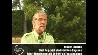 Miniature : C'est quoi la biodiversité ?