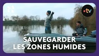 Miniature : Sauvegarder les Zones Humides - C'est toujours pas sorcier