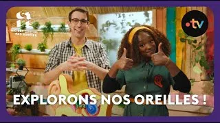 Miniature : Explorons nos oreilles ! - C'est toujours pas sorcier