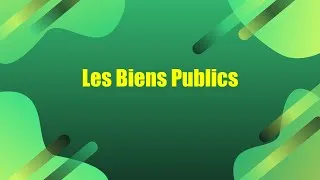 Miniature : L'économie simple : Les Biens Publics