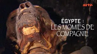 Miniature : Égypte ; les momies de compagnie - Arte Documentaire