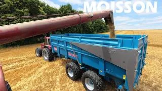 Miniature : La moisson de l'orge avancée - 2026