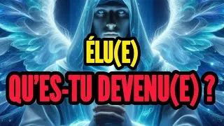 Miniature : ÉLU(E) — QUE S’EST-IL PRODUIT ?! MON DIEU… QU’ES-TU DEVENU(E) ?!#Héritage