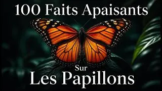 Miniature : Butterflies: 100 Facts to Help You Fall Asleep (Ad-Free)